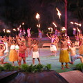 Polynesian Center 14