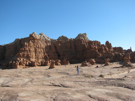 IMG 7375