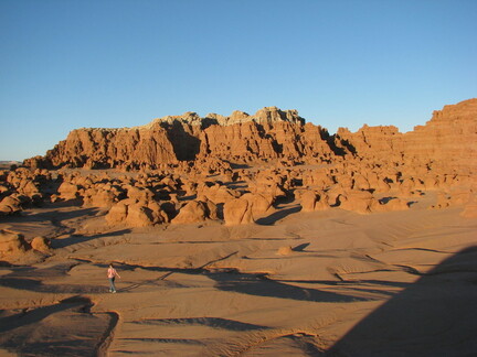 IMG 7501