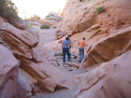 IMG 7841